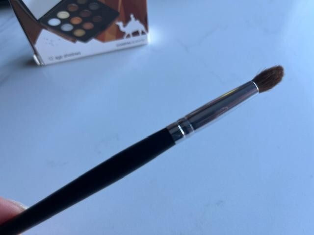 COASTAL SCENTS Go Palette CAIRO 12 Eye shadows MATTE & SHIMMERY w/Blender Brush