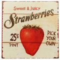 Barnyard Sweet Juicy Strawberries Pick Your Own Tin Sign Vintage Metal Art NEW
