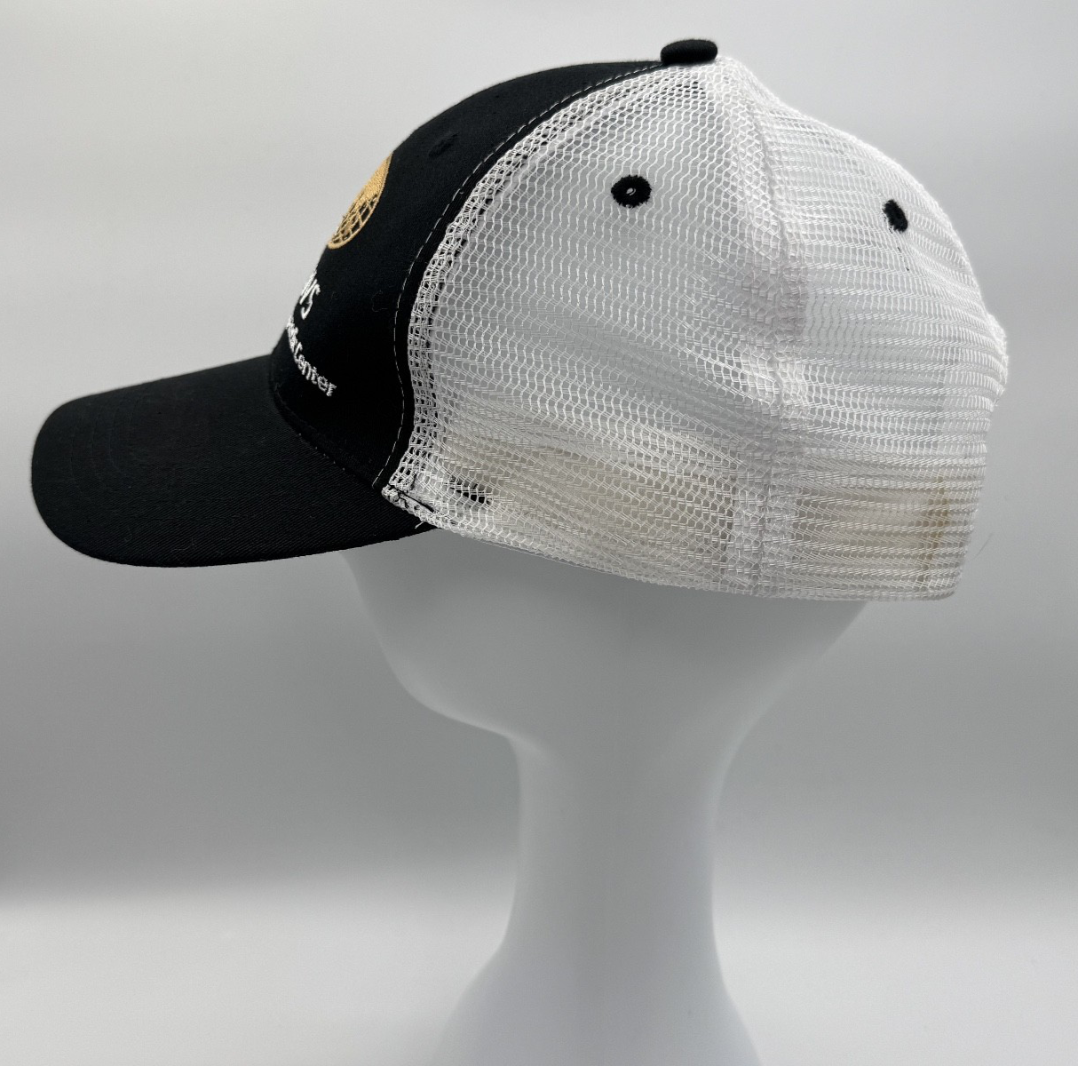 Andrews Sports Medicine Orthopedic Center Snapback Hat Baseball Cap Black/White
